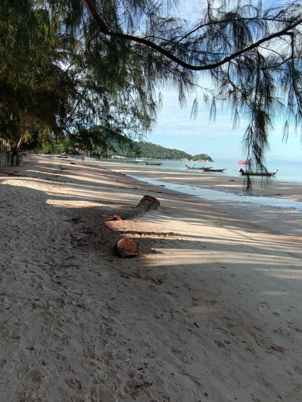 Prik Thai Resort Ko Tao Exteriér fotografie